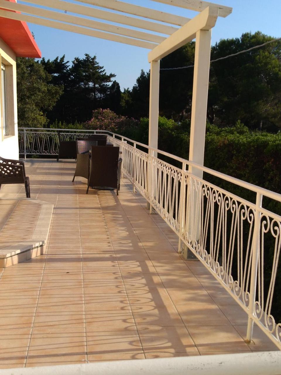 סן וינצ'נזו Acquaviva Experience B&B מראה חיצוני תמונה